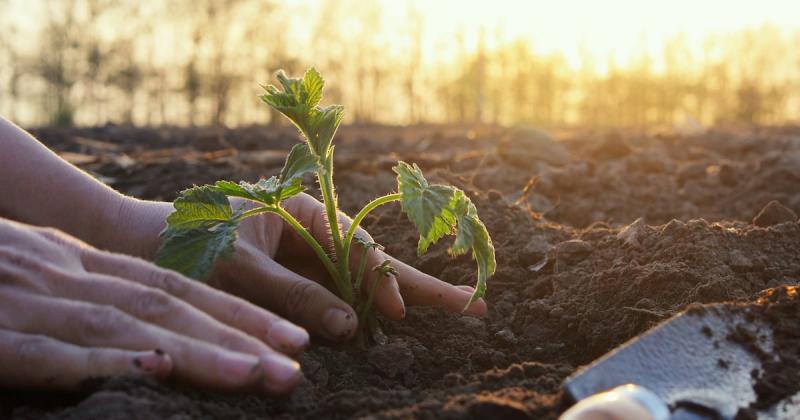 Experts Advocate Regenerative Sustainability Shift Experts Advocate Regenerative Sustainability Shift